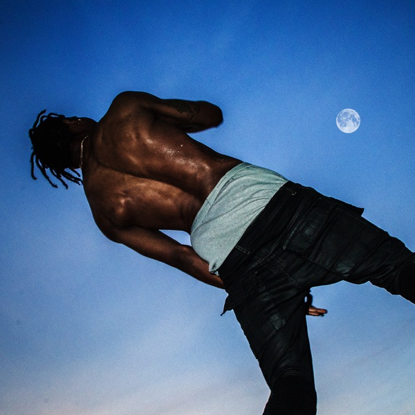 Travis Scott, Days Before Rodeo album cover